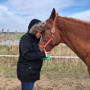 Meet your Posher, Carine